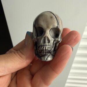 Spider Web Jasper Skull